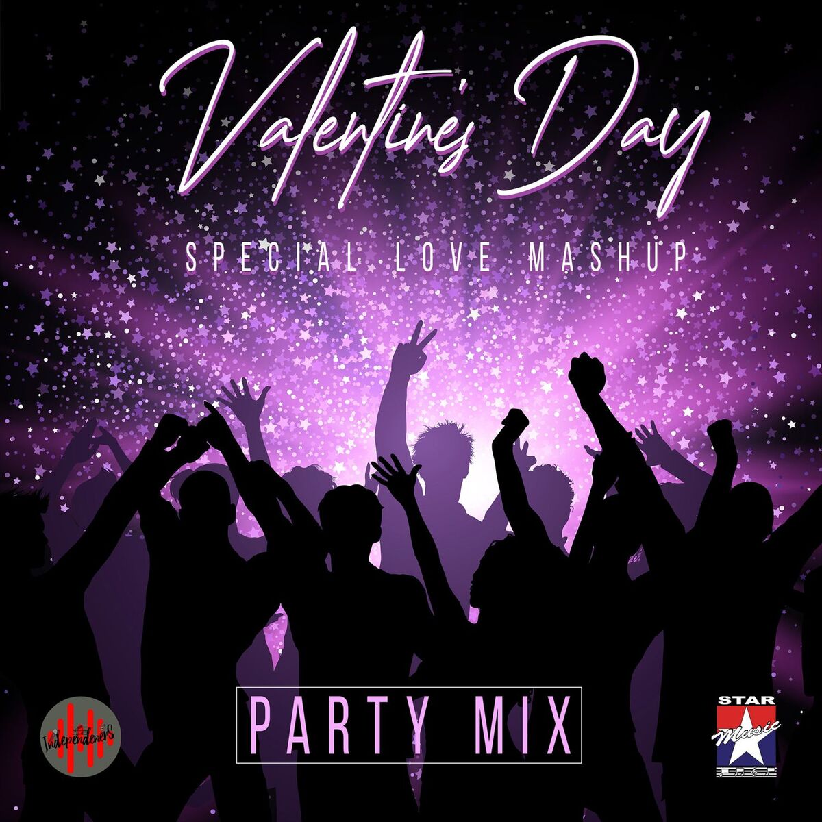 Album cover of Valentine's Day Special (Party Mix)