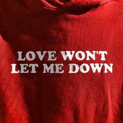 Cover of Love Won’t Let Me Down