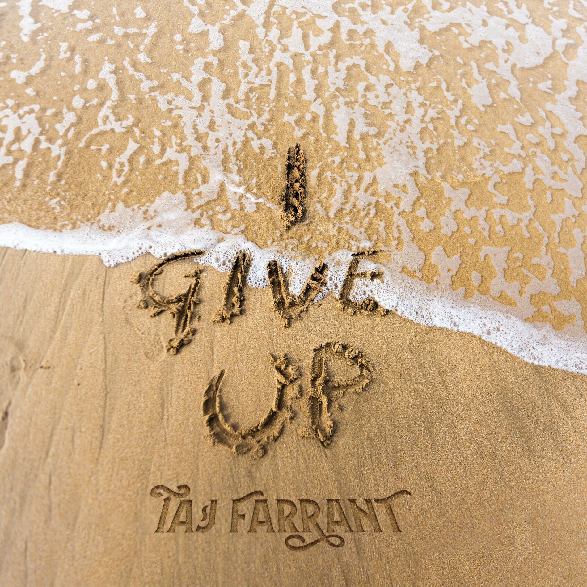 Album cover of I Give Up