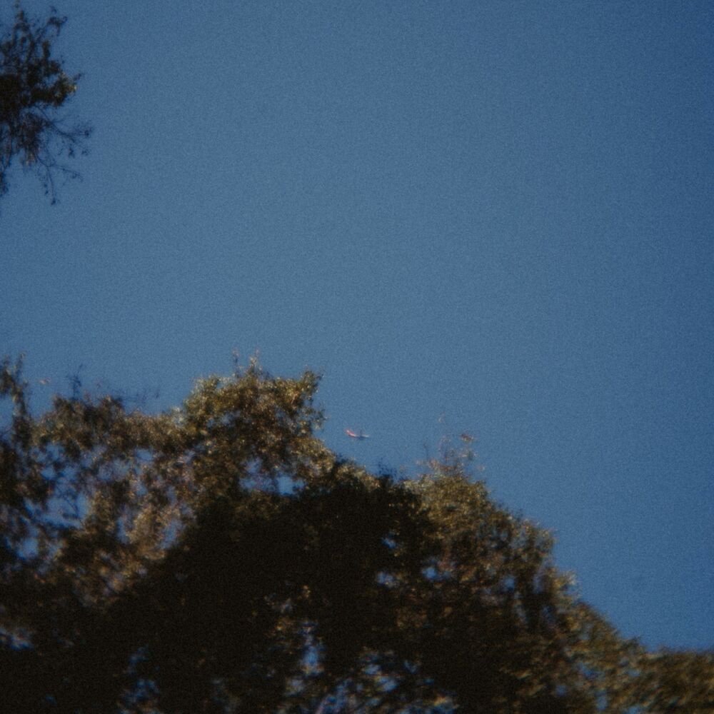 Picture of where we lost ourselves