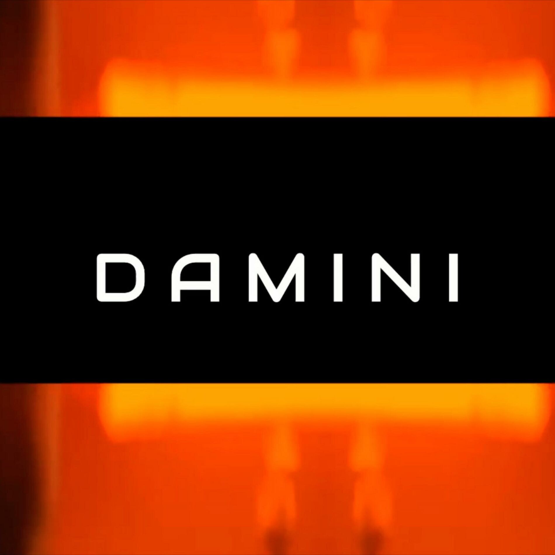 Album cover of Damini