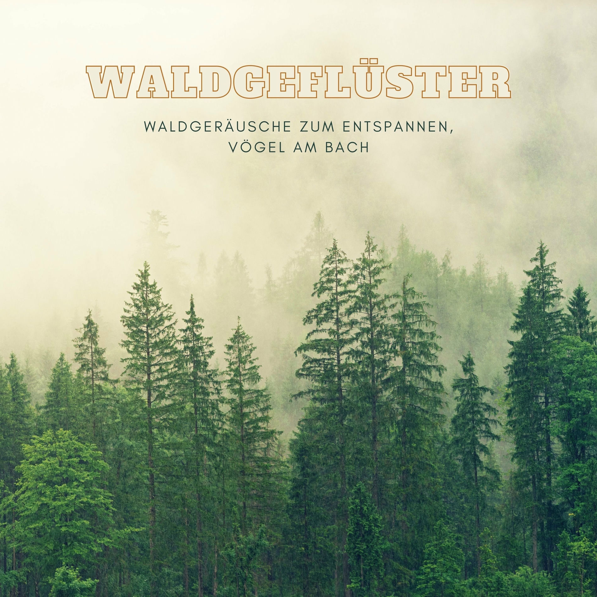 Album cover of Waldgeflüster – Waldgeräusche zum Entspannen, Vögel am Bach