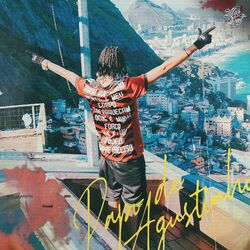 Cover of Papo de Agustinho