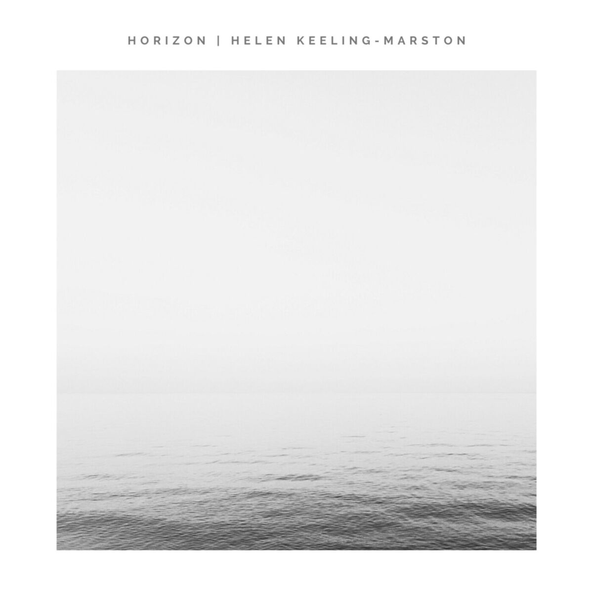 Album cover of Horizon