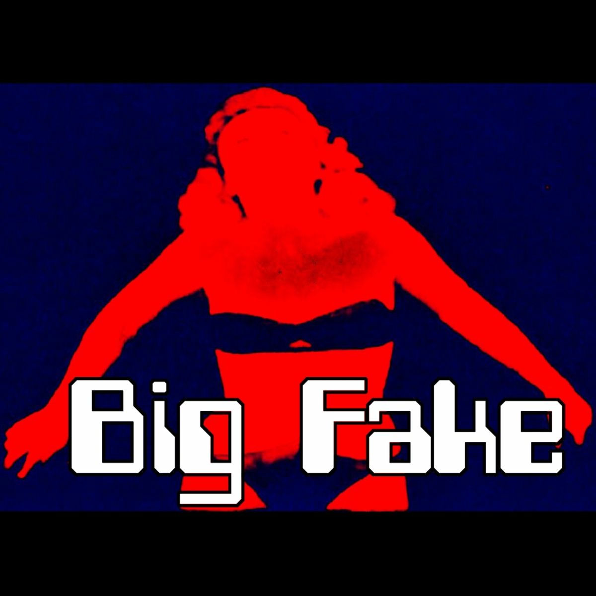 Album cover of Big Fake