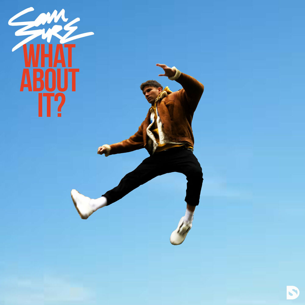 Picture of What About It?