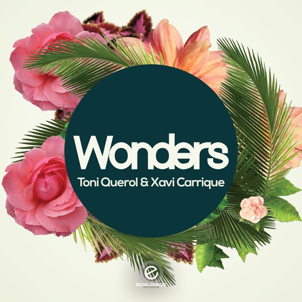 Picture of Wonders