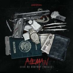 Cover of Pase de Abordar (Deluxe)