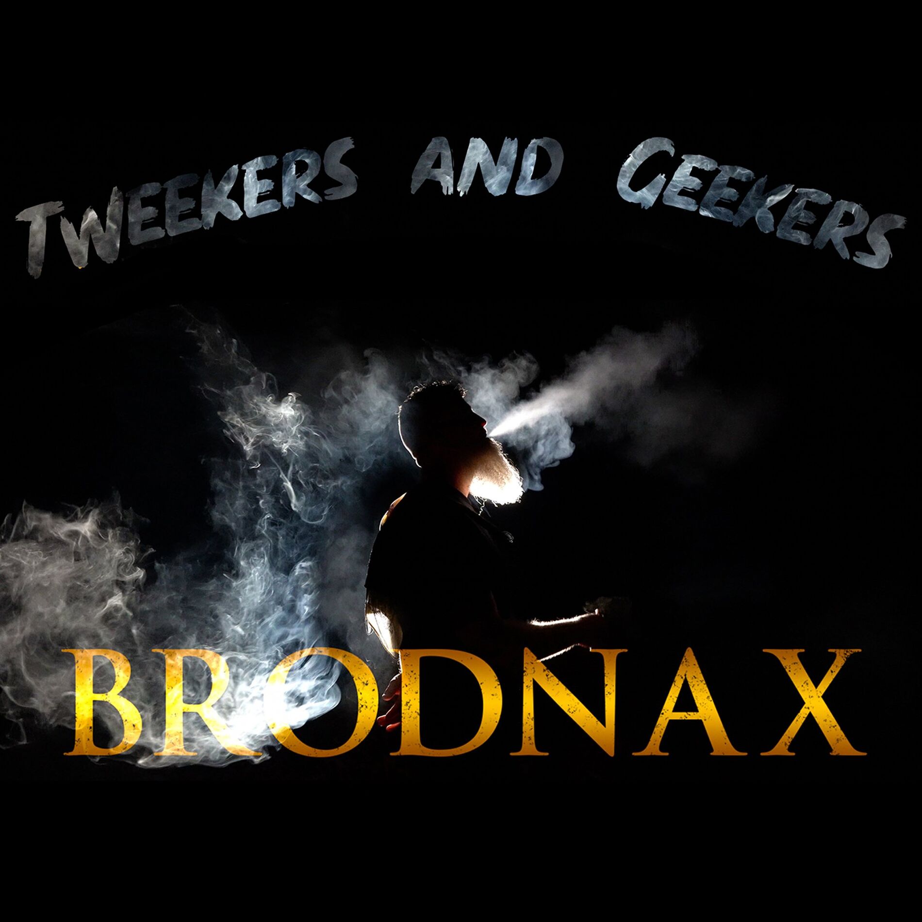 Album cover of Tweekers And Geekers