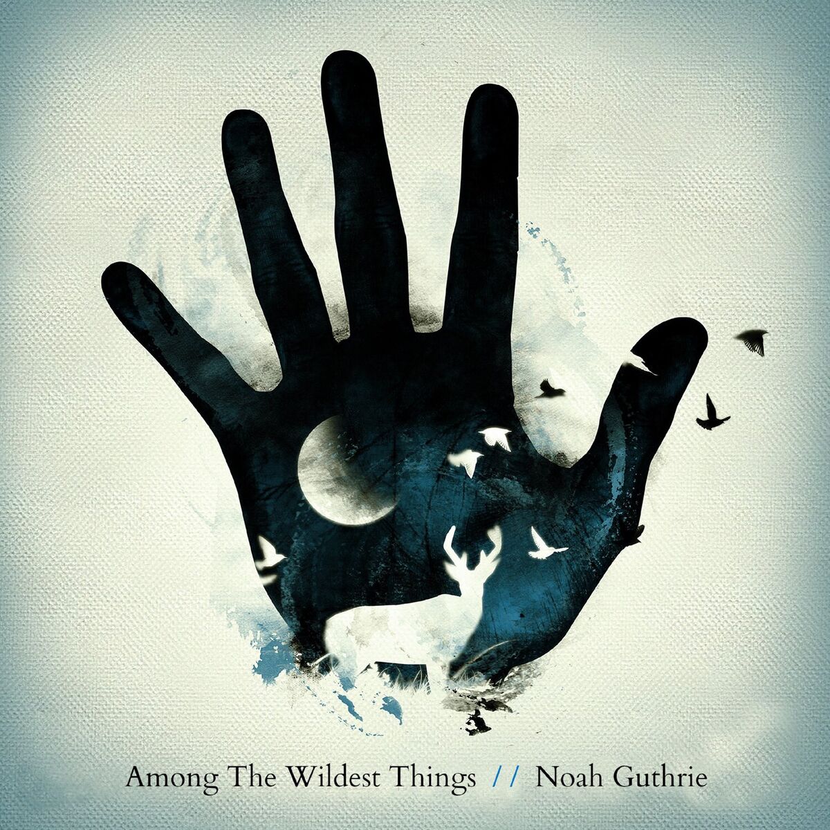 Album cover of Among The Wildest Things