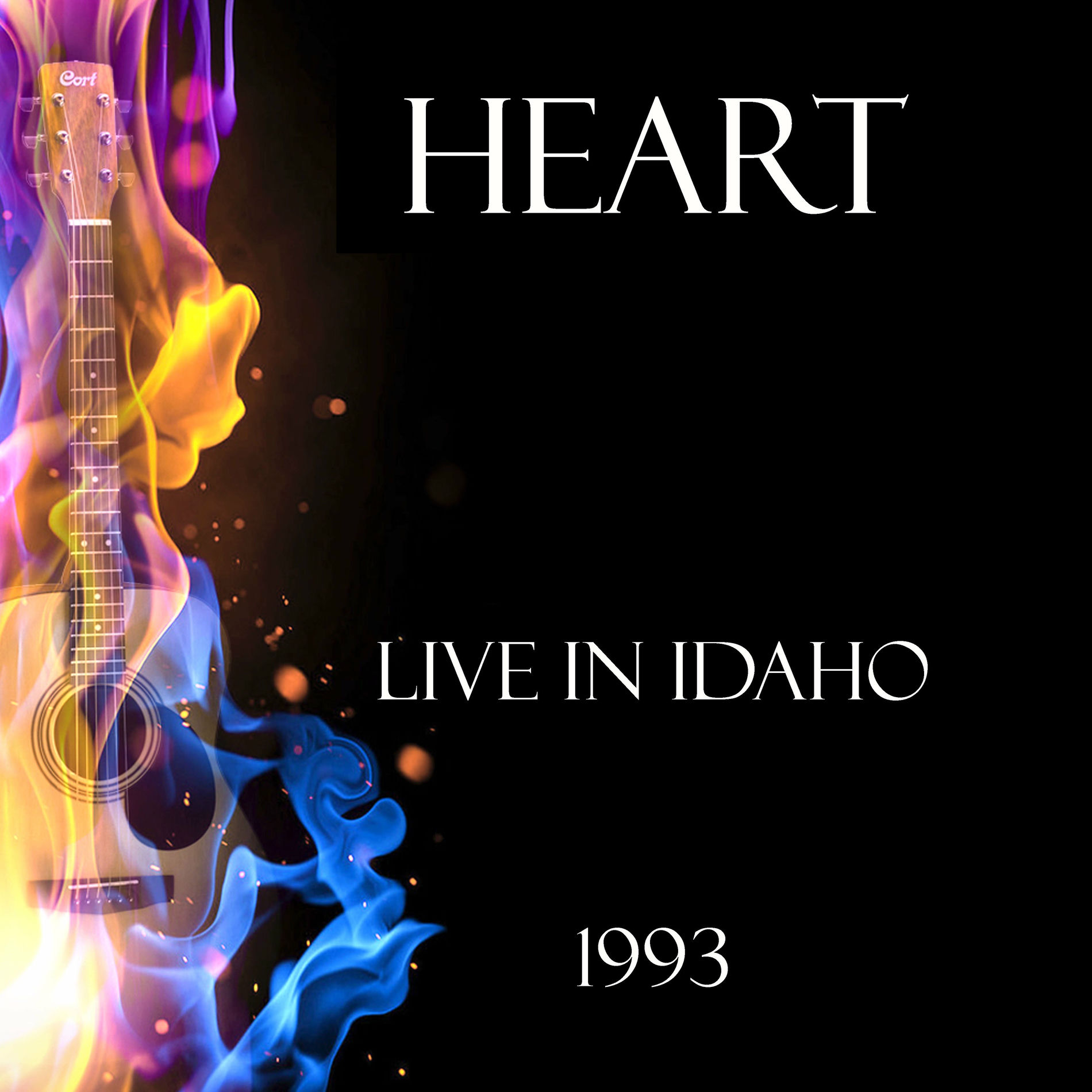 Album cover of Live in Idaho 1993 (Live)