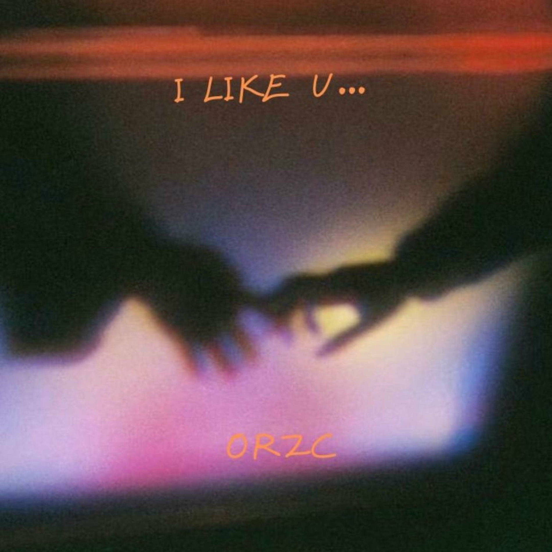 Album cover of i like u...