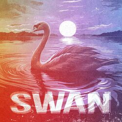 Cover of Swan
