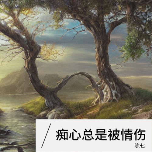痴心总是被情伤