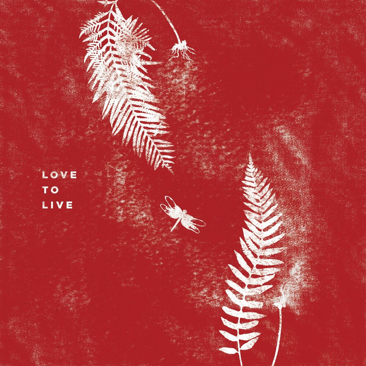Album cover of O Que Acontece Aqui