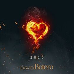 Cover of David Botero 2020