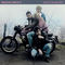 Horsin' Around by Prefab Sprout album cover