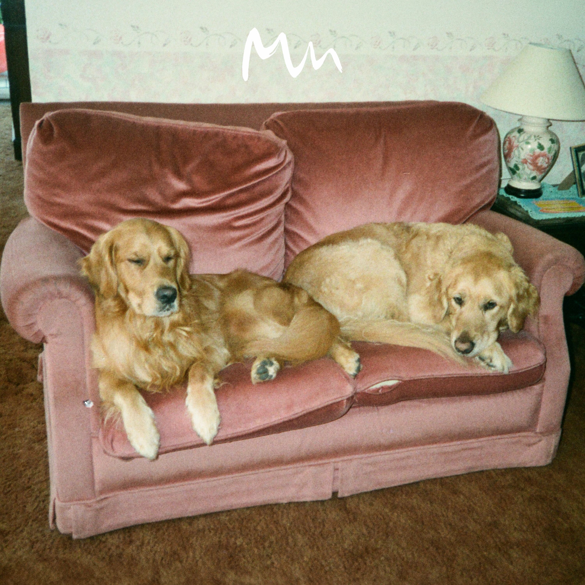 Album cover of Shadows Pt. 3