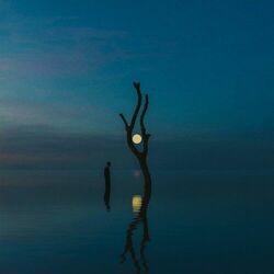 Cover of Hiraeth Remixes