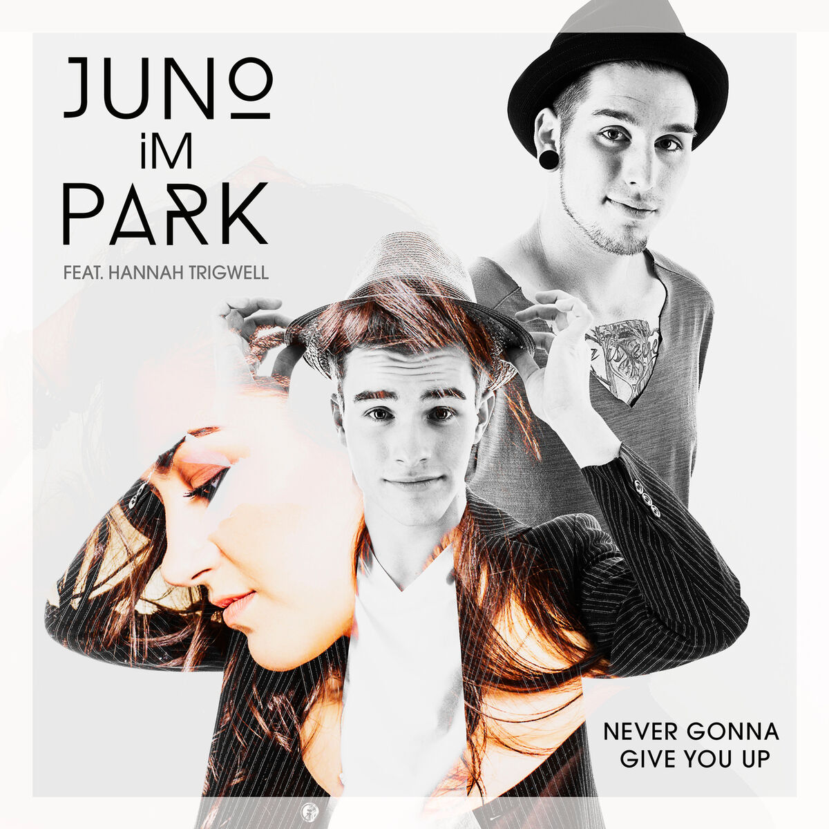 Album cover of Never Gonna Give You Up