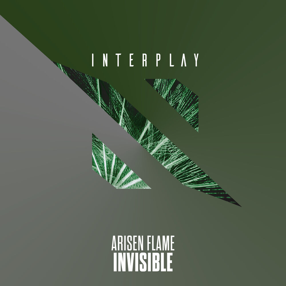 Picture of Invisible