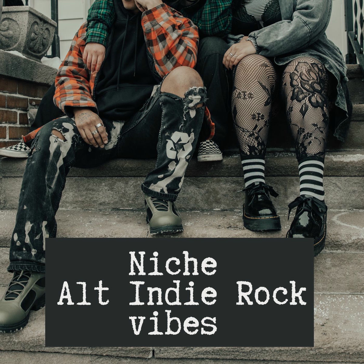 Album cover of Niche Alt Indie Rock Vibes