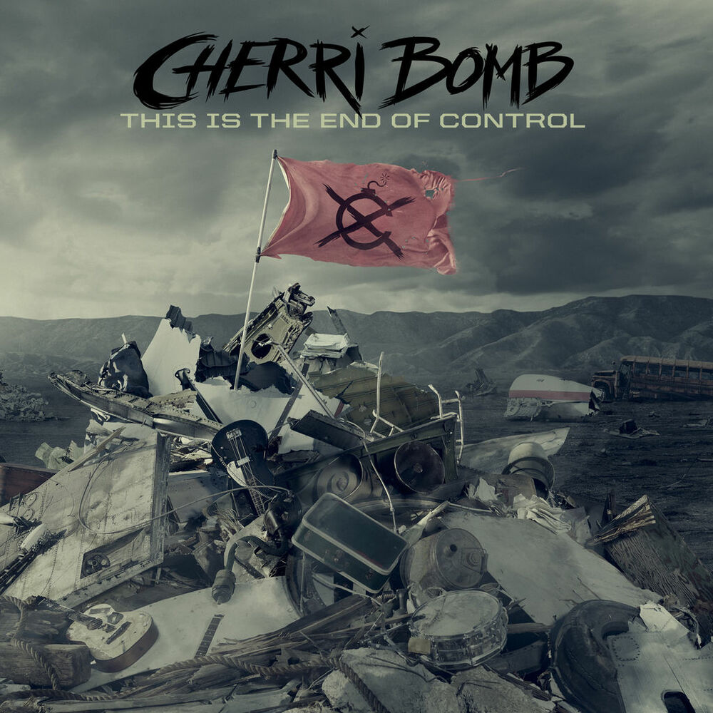 Picture of This Is the End of Control