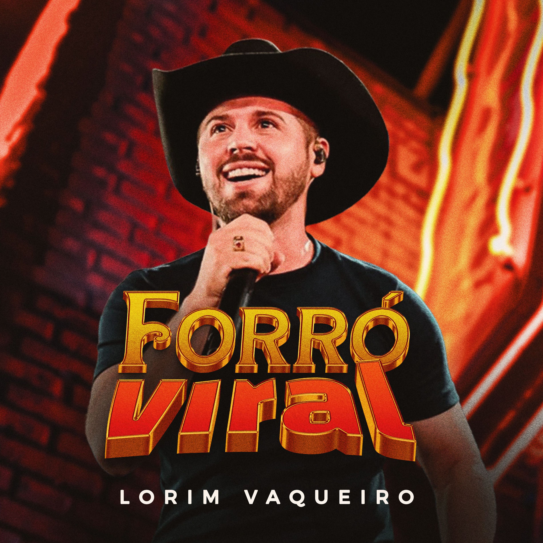 Album cover of Forró Viral