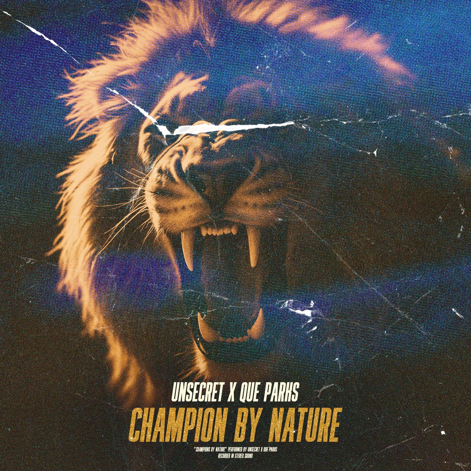 Album cover of Champion By Nature