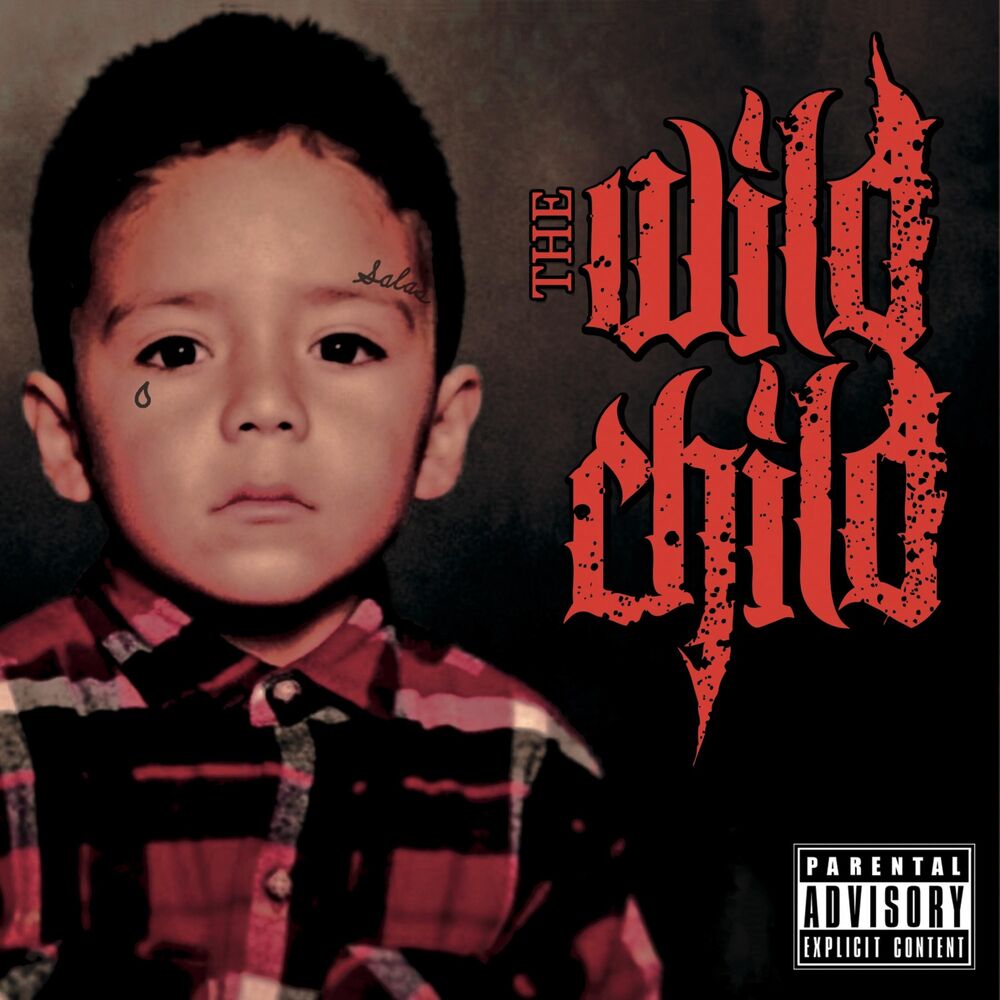 Picture of The Wild Child