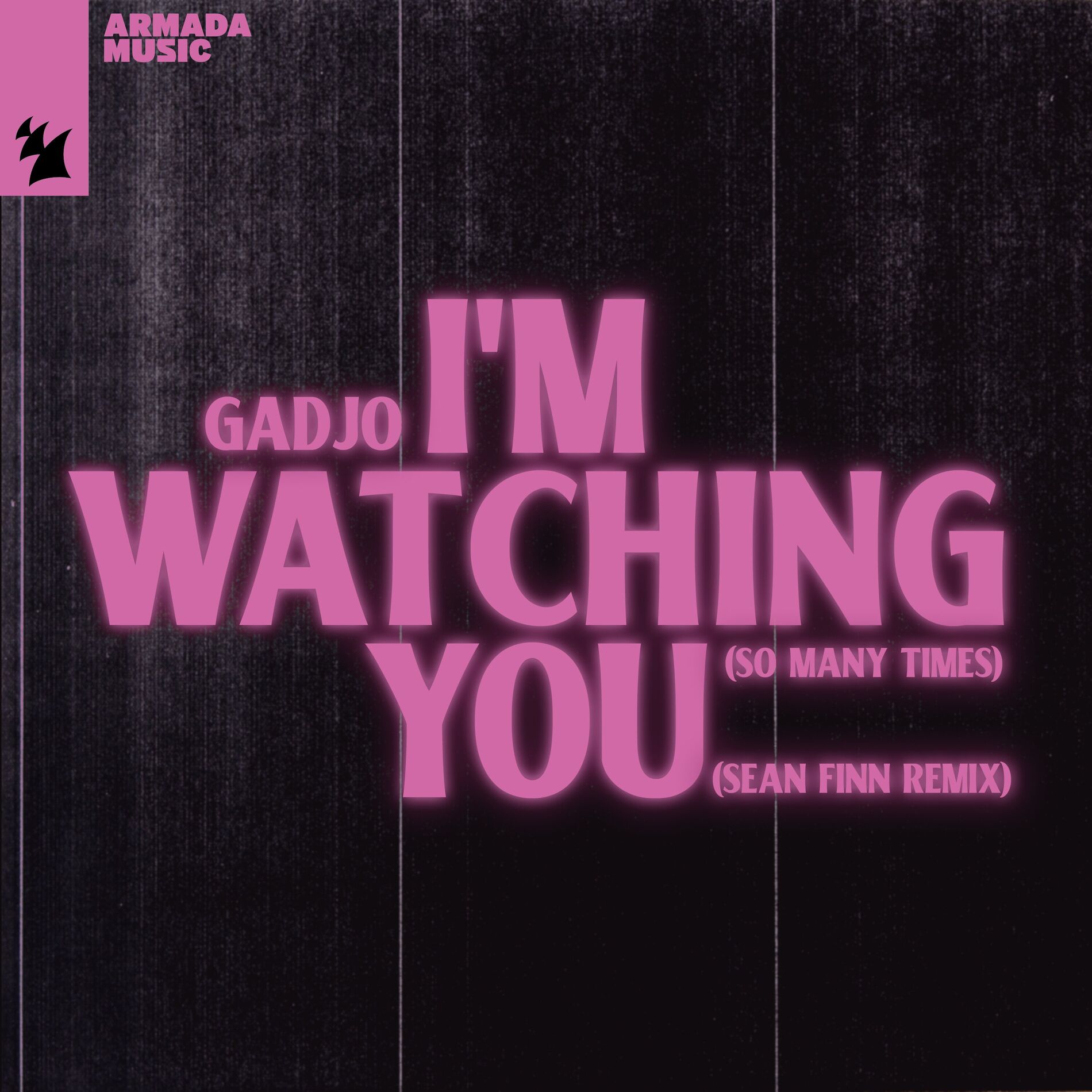 Album cover of I'm Watching You (So Many Times)