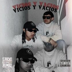 Cover of VICIOS Y VACIOS