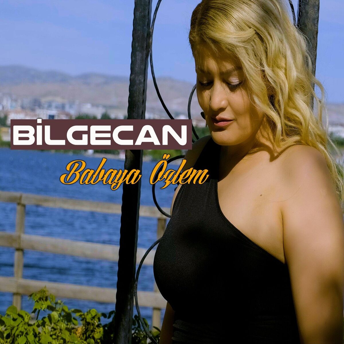 Album cover of Babaya Özlem