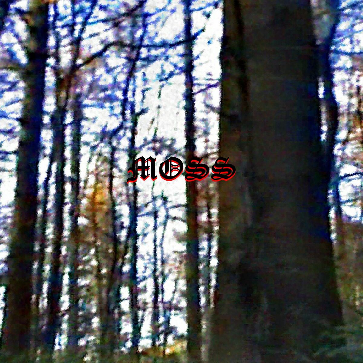 Album cover of Moss