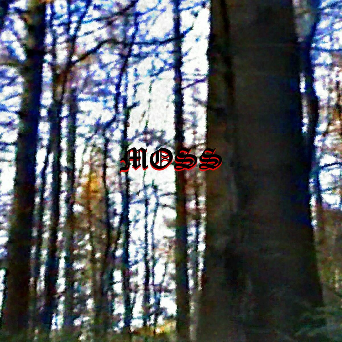 Album cover of Moss