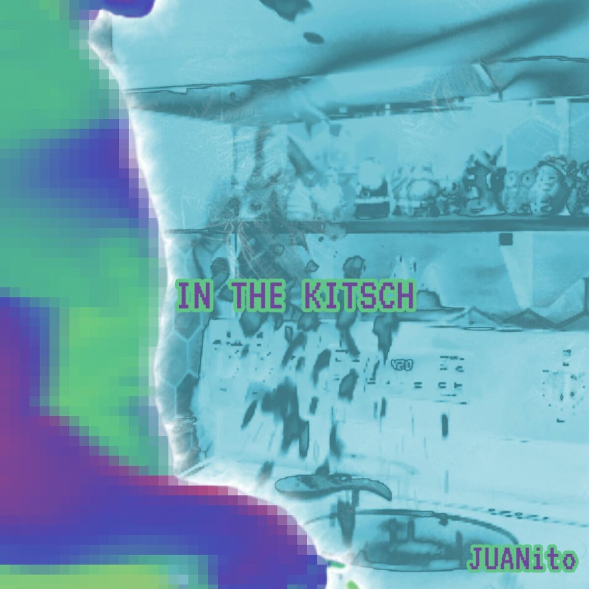 Album cover of IN THE KITSCH