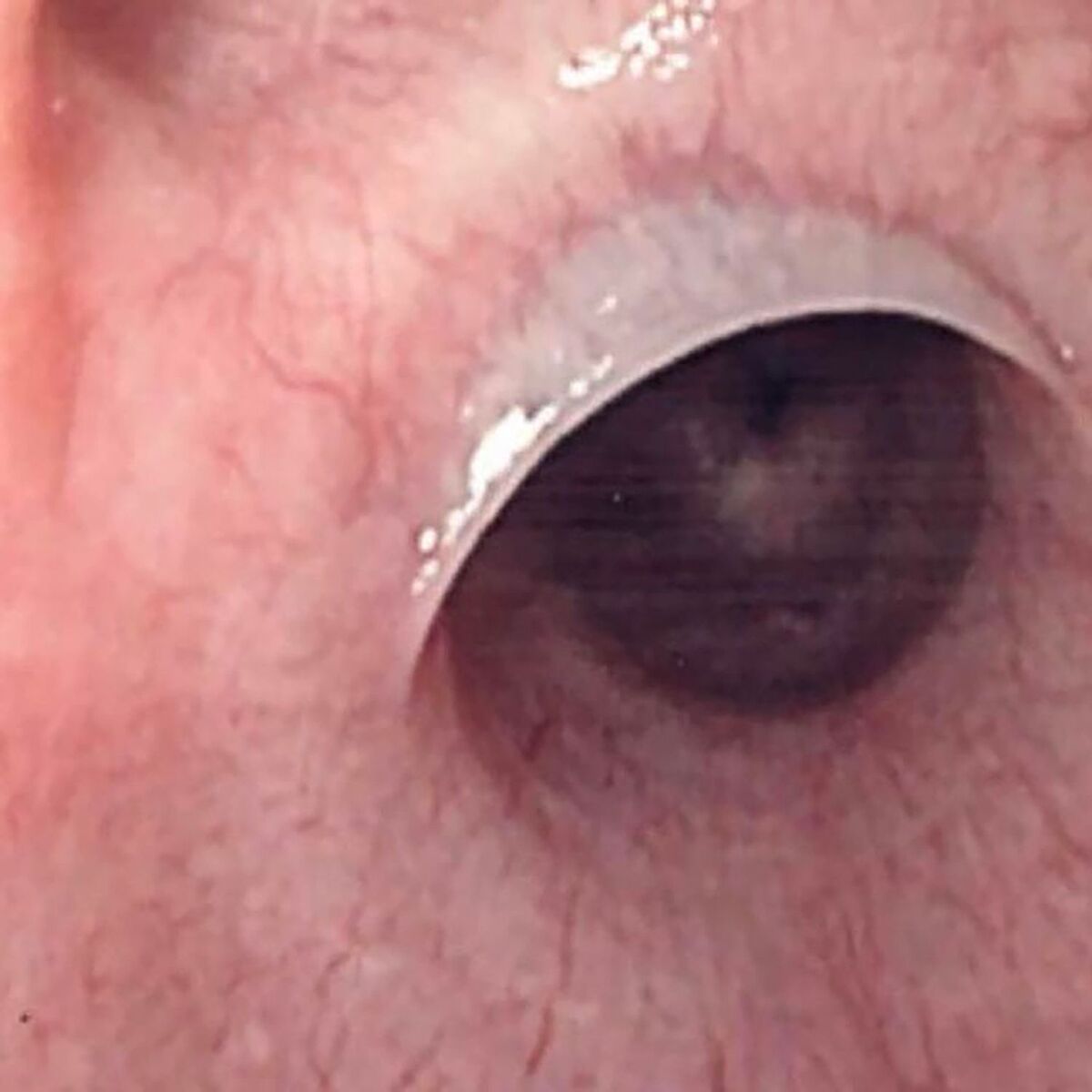 Album cover of Mascara
