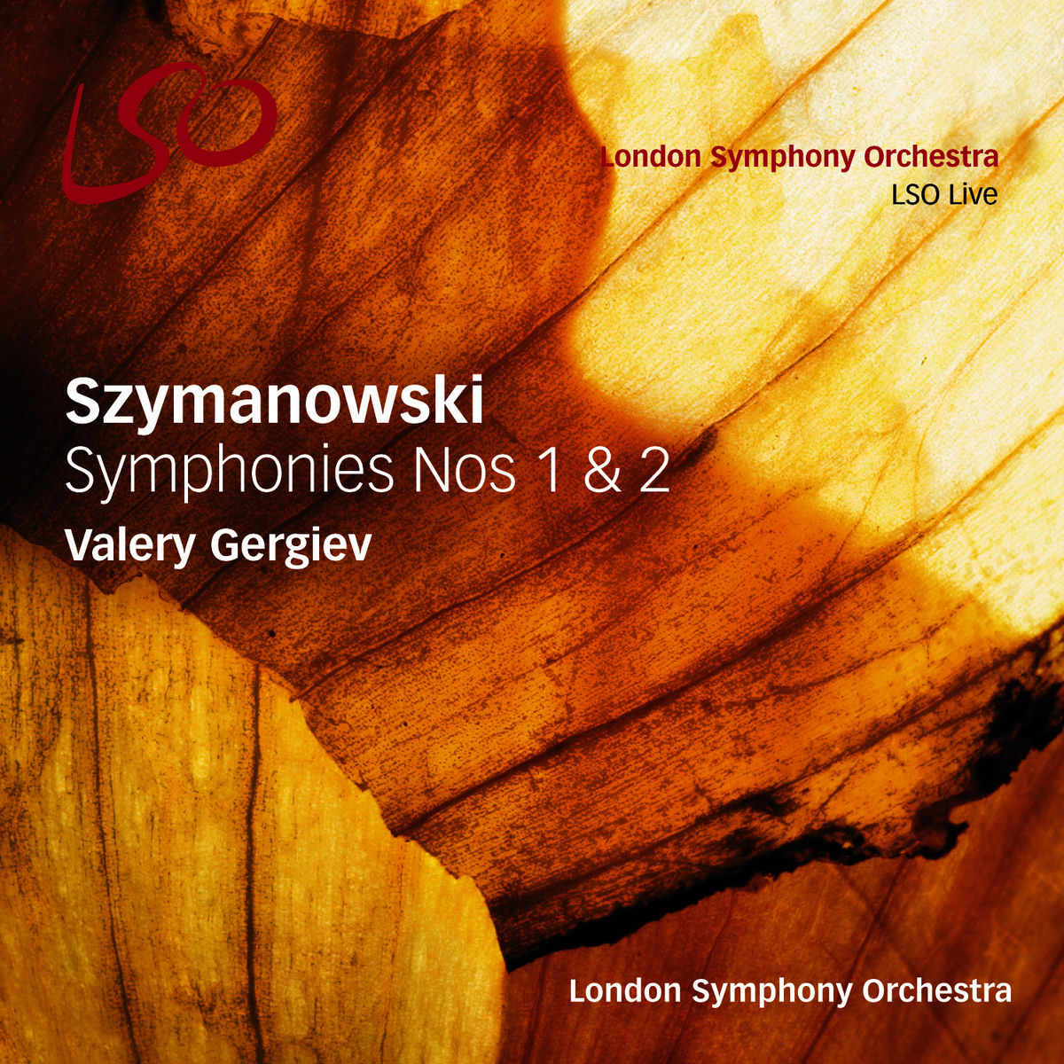 Album cover of Symphony No. 2: II. Theme