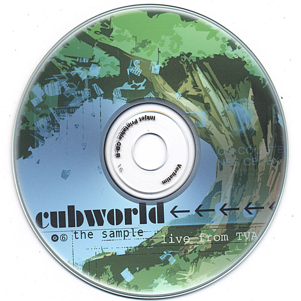 Picture of the sample