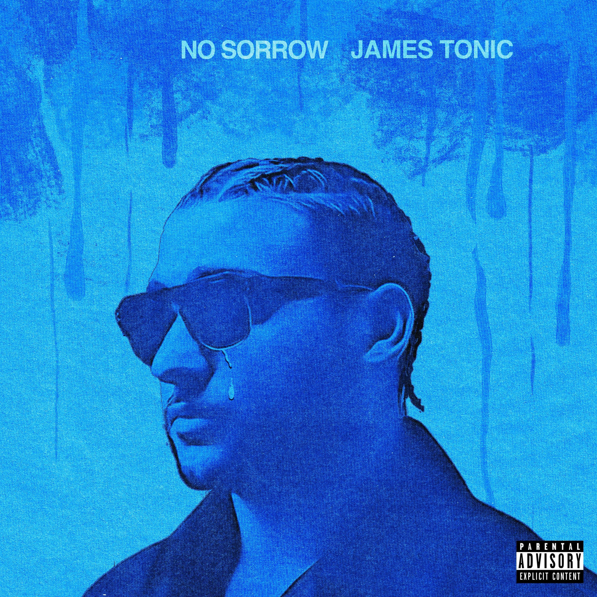 Album cover of No Sorrow