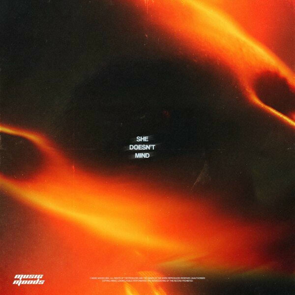 Album cover of She Doesn't Mind