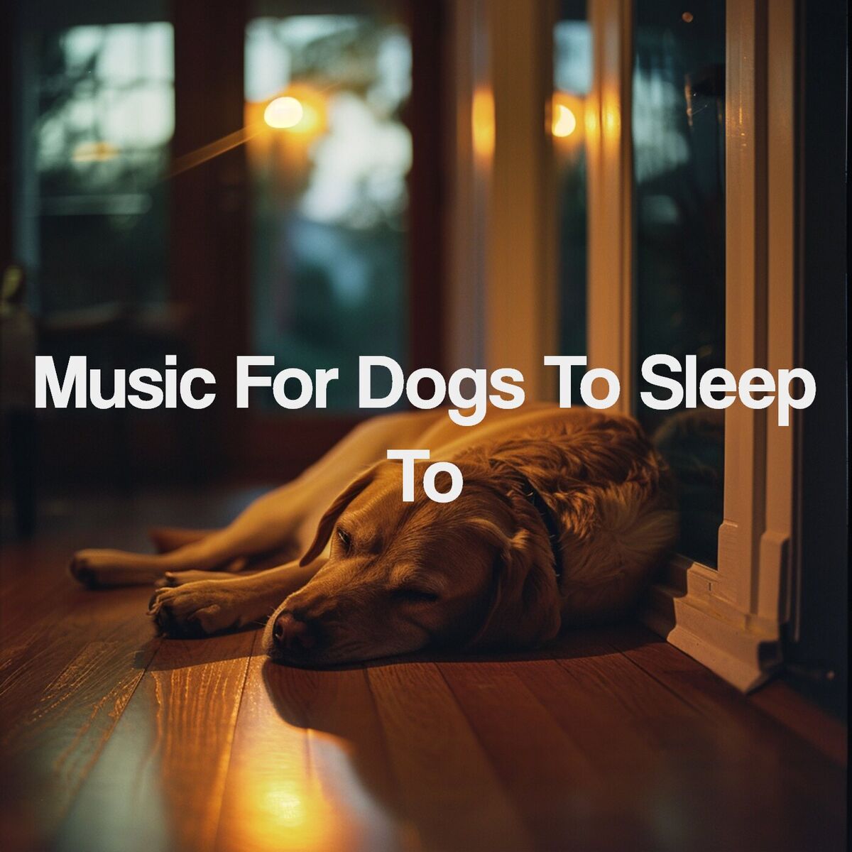 Album cover of Music For Dogs To Sleep To