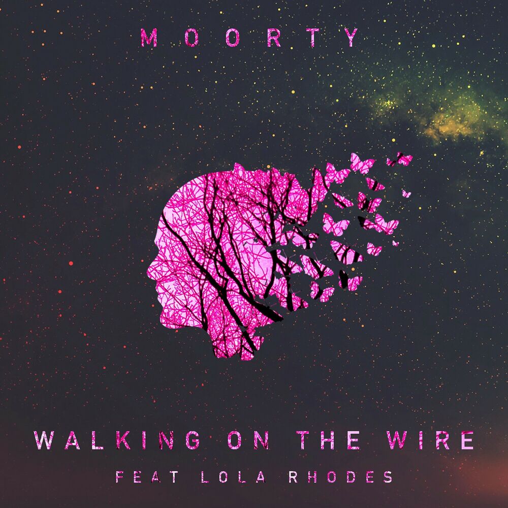 Picture of Walking on the Wire