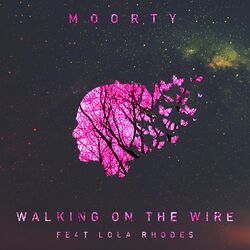 Cover of Walking on the Wire