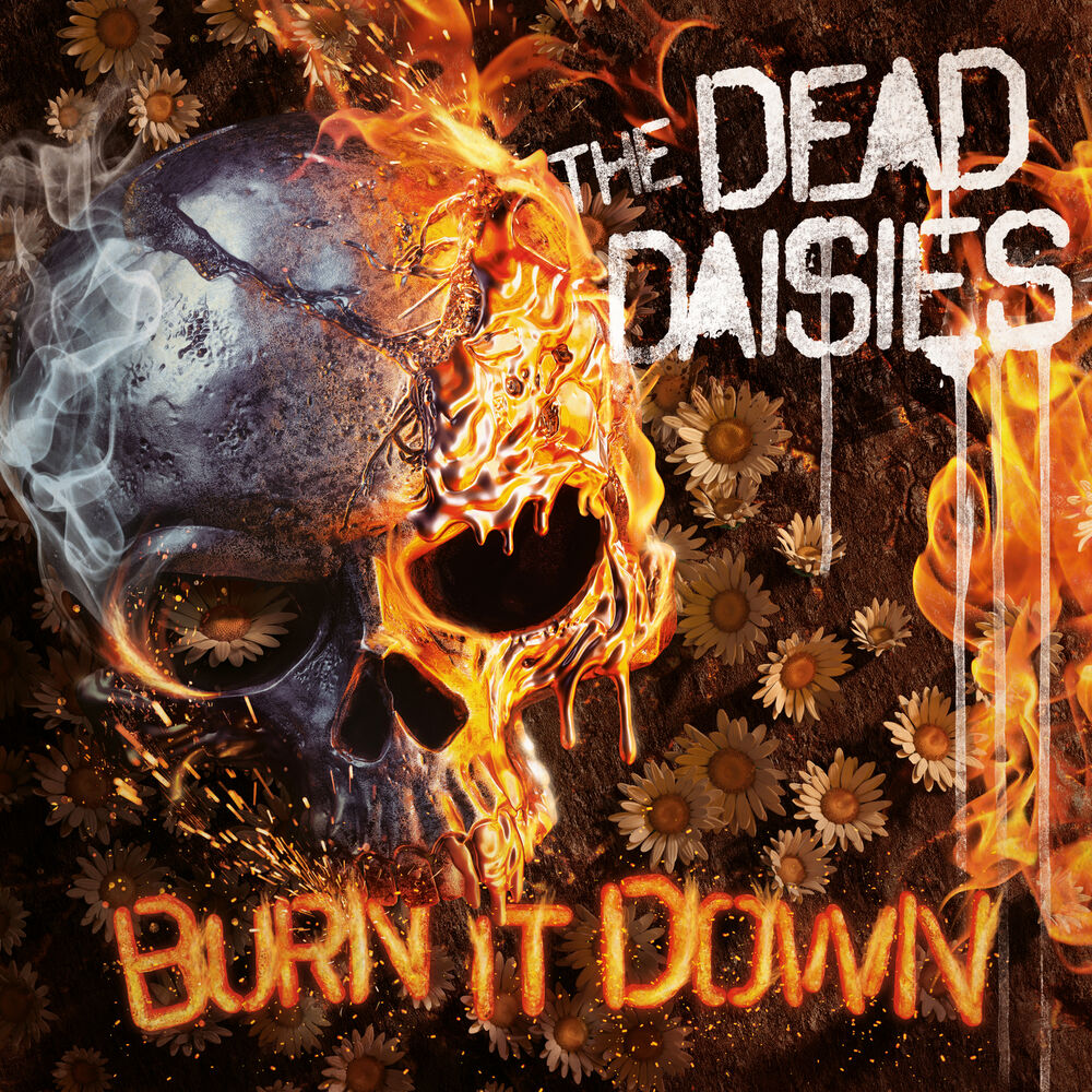 Picture of Burn It Down