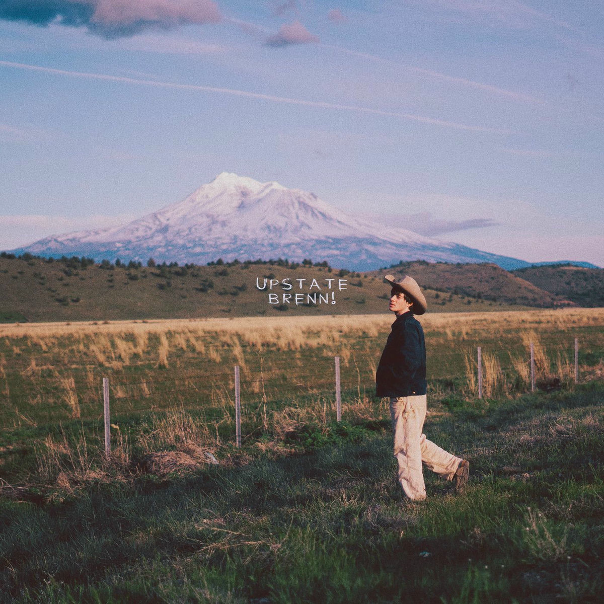 Album cover of natural disaster