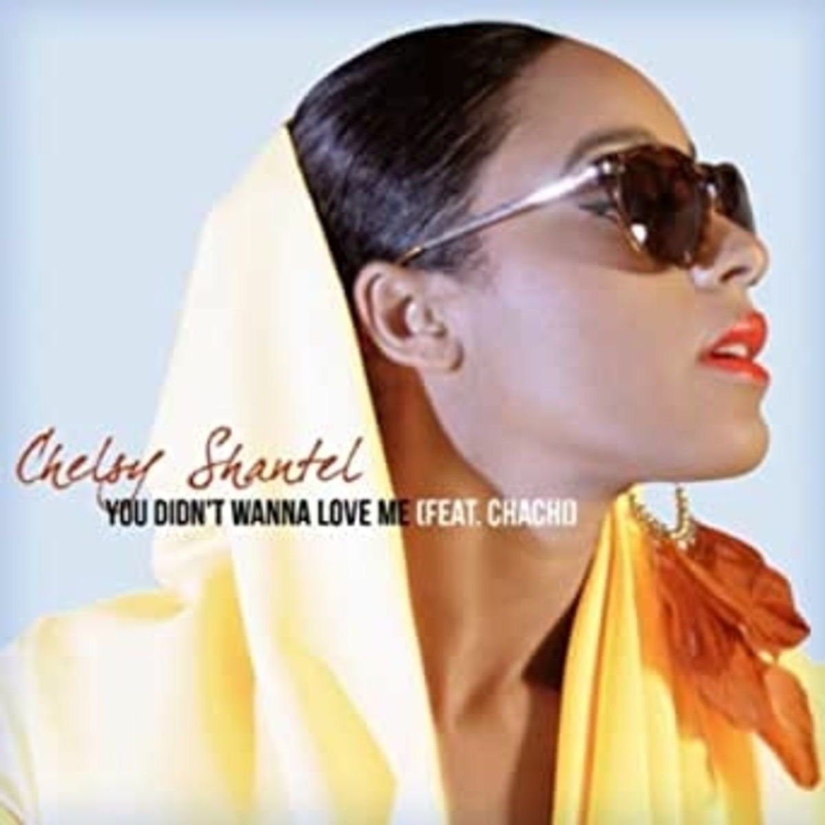 Album cover of You Didn't Wanna Love Me