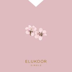 Cover of Elukoor