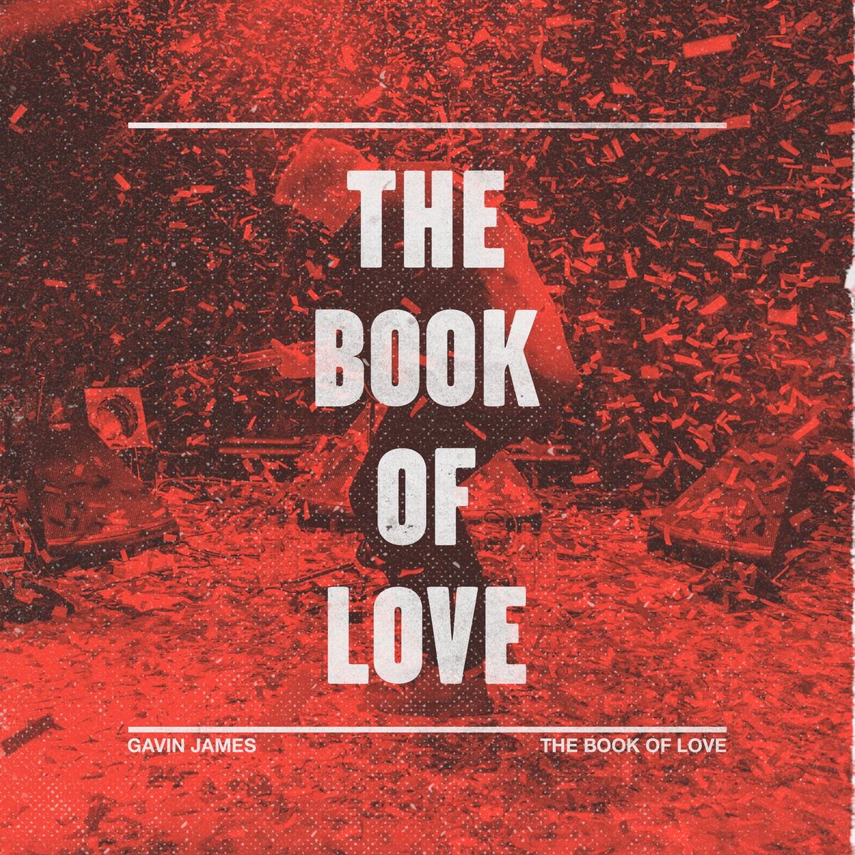 Album cover of The Book Of Love
