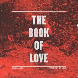 Cover of The Book Of Love